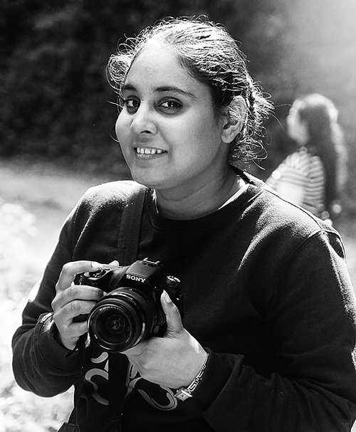 Vivamus in lorem nisl